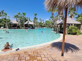 Piscine tahiti
