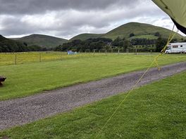 View from outside my tent on the electric pitches