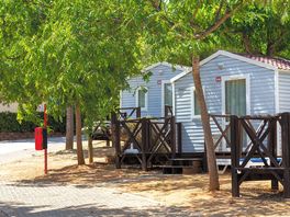 Pandora 1 bedroom static caravan