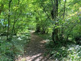 For us, the woods were the icing on the cake.