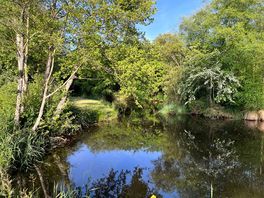 Beautiful walk around the lakes