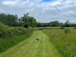 Hundeauslaufgelände