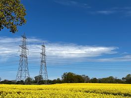 Field