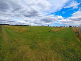 Dog paddock.