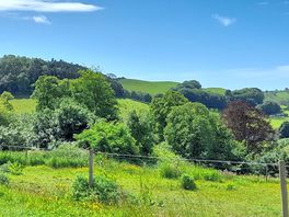 Fields adjacent to the campsite