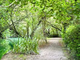 Lovely countryside walk to village