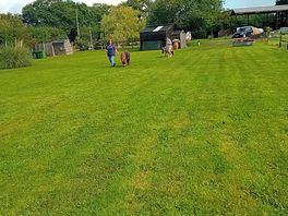 Lovely well kept grass