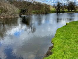 The river / on the site