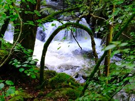 A section of the torrent walk