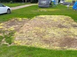 Pitched after tent taken down.. bald areas b4 we pitched up..