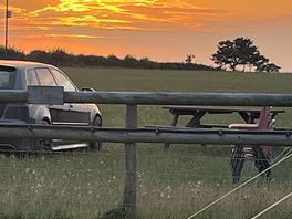 Sunset in the evening