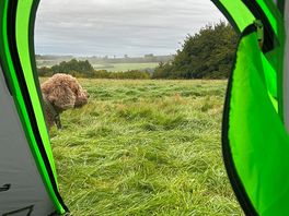 Lovely view from my tent