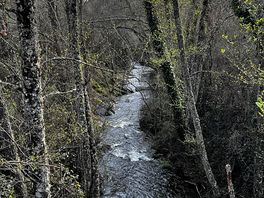 Ruta