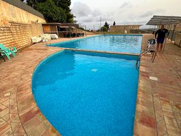 Pool and bar