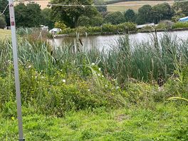 Beautiful lake, perfect for catching the wildlife