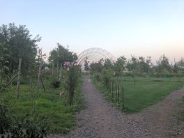 Walking near the campsite