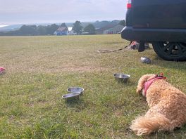 View free m our pitch