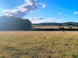 Local fields