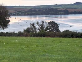 View from site