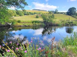 The river that is accessible from the campsite