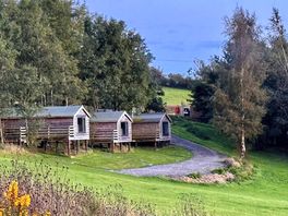 Cozy cabins surrounded by nature—immaculately kept and very inviting.