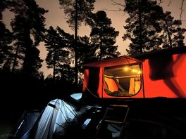 Lovely bit of shelter from the trees!