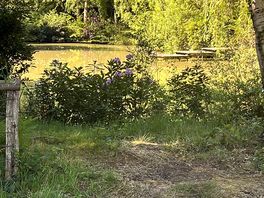 The lake