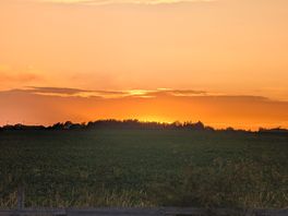 Gorgeous sunset over the neighbouring farmer's field.