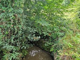 Peaceful walk