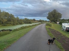 By the river