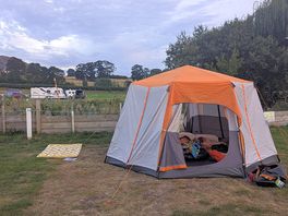 Our pitch