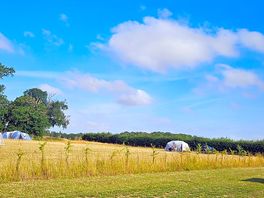Campsite