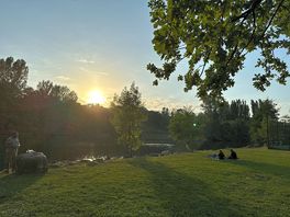 Vue