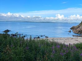 The bay
