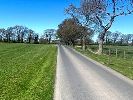 Lovely strolls