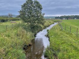 A little view of the river when we took our walk nearby