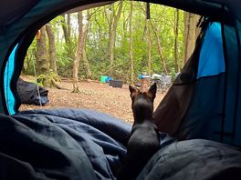 Even the dog enjoyed the veiw