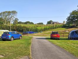 Road into campsite.