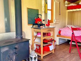 Wood burning stove and gas ring