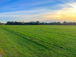 Camping paddock