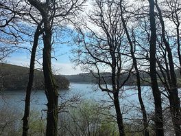 Views of the lake