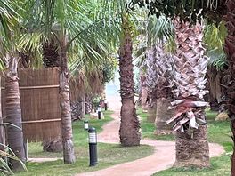 Rental cottages