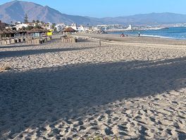 The local beach