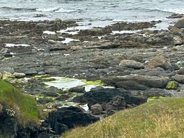 Beach on site, with coastal path.