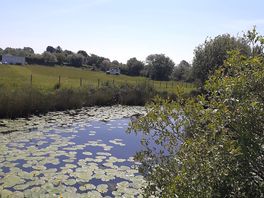 Small lake
