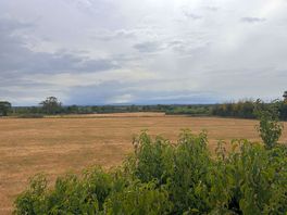 View from site