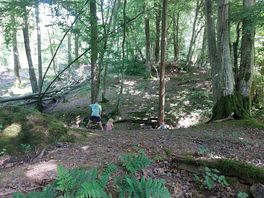 The woods!