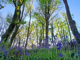 Views along the bridal path down to amroth