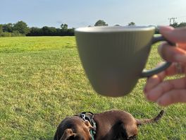 Tea