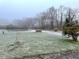 Frosty in january 2025